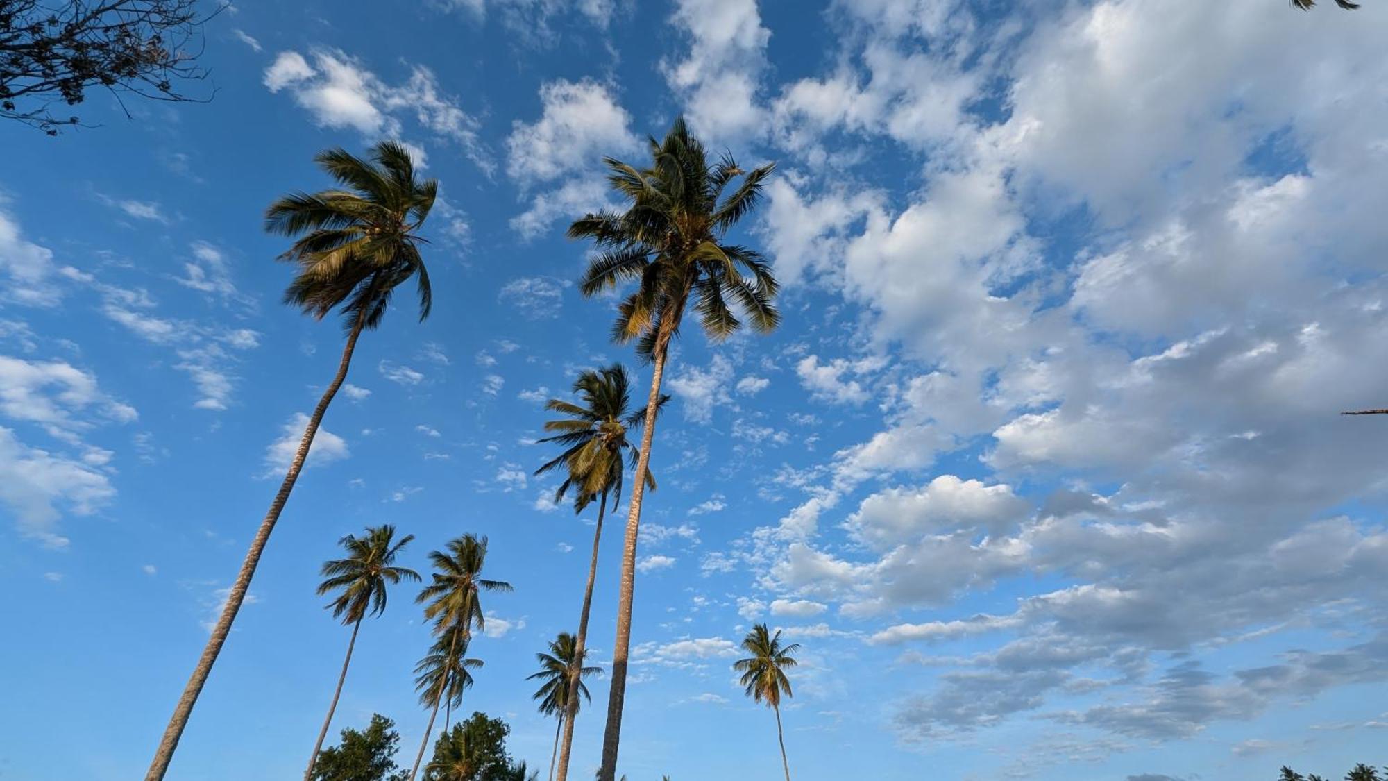 Villa Adelina Zanzibar المظهر الخارجي الصورة